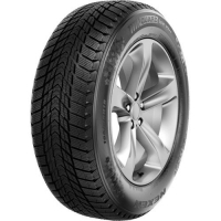 Купить Nexen WINGUARD ICE PLUS в Санкт-Петербурге (СПб)
