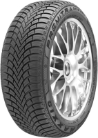 Купить Maxxis WP06 в Санкт-Петербурге (СПб)